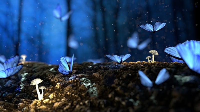 Enchanted Botany