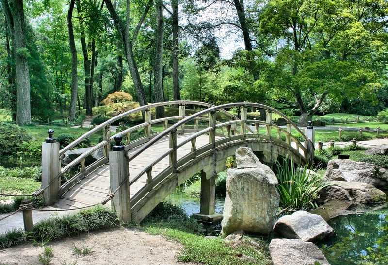 Green garden landscape